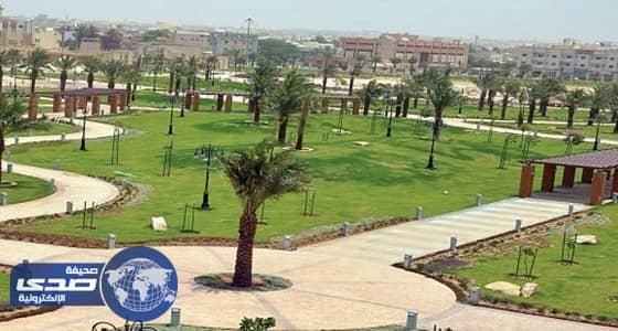 شركة حكومية لتطوير المتنزهات ومكافحة التصحر بالمملكة