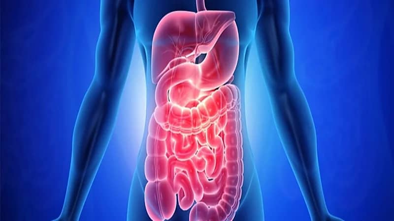 الأمعاء تؤثر في فعالية العلاج الكيميائي للسرطان