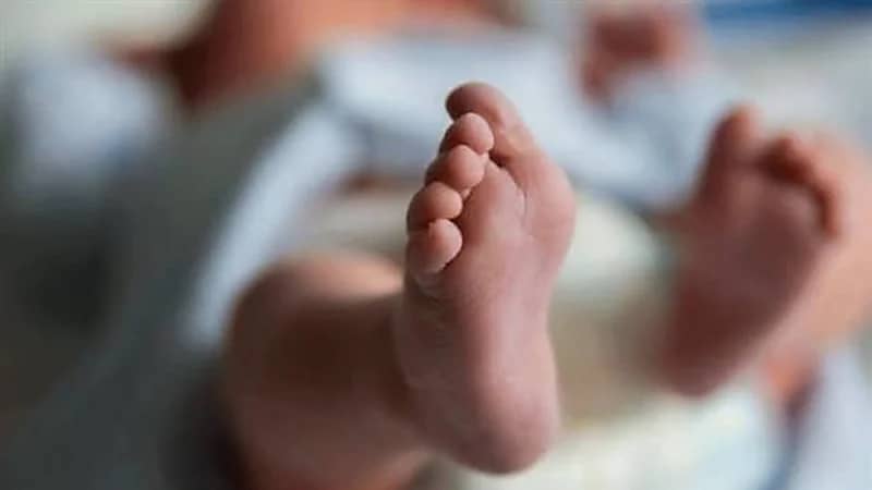 كلب يتسبب في العثور على رضيعة داخل كيس أسود