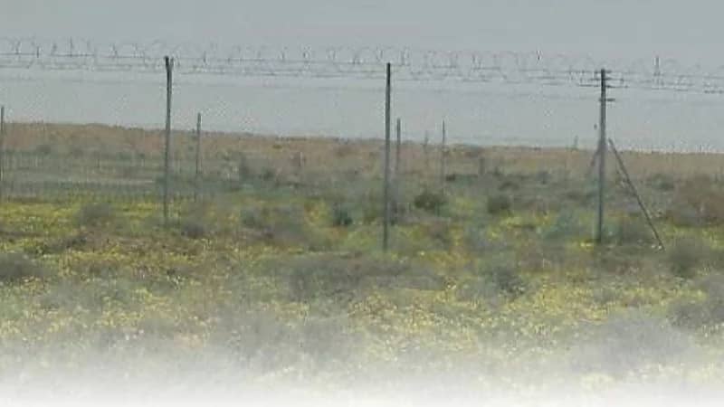 حرس الحدود يُحذر هواة البر والمتنزهين بعدم الاقتراب من حرم الحدود