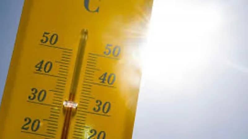 الصين تحذر من موجة حر تشكل تهديدًا خطيرًا على المحاصيل