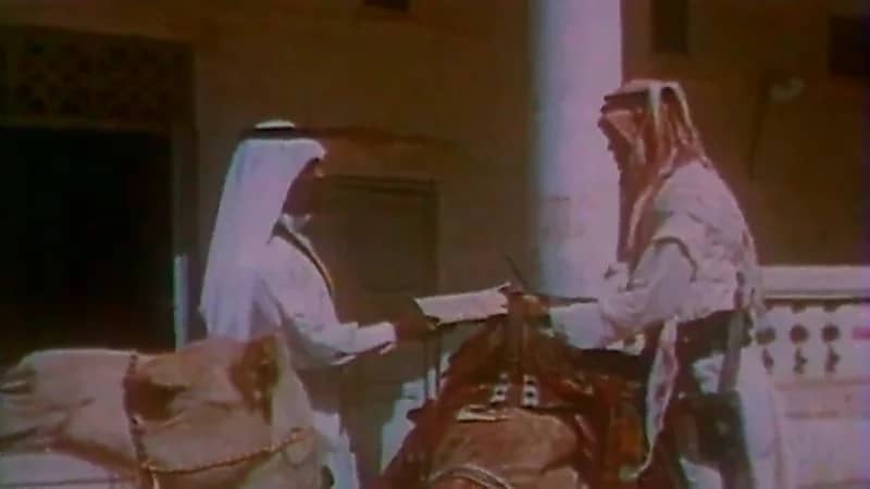 بالفيديو.. ملامح من حياة مقرن بن مرخان أحد أسلاف الأسرة المالكة