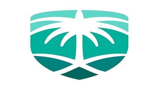 إجراء جديد من " الجمارك " لتفادي غرامات التخزين