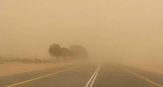 أهالي بيشة يعربون عن استيائهم من " التعليم " لعدم تعليق الدراسة