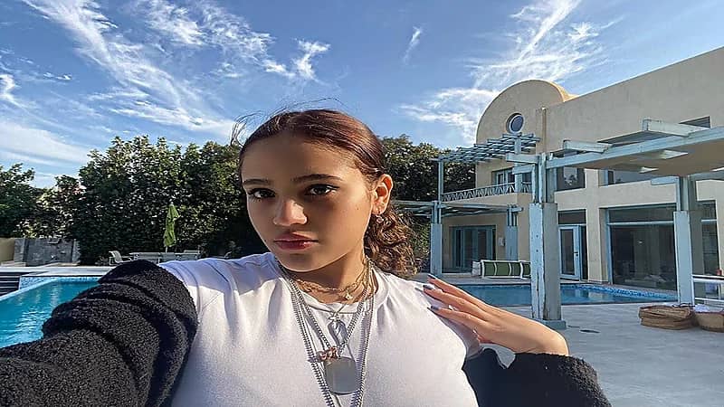 ابنة عمرو دياب تثير الجدل بحركة "إباحية"