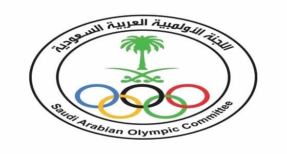 " آل الشيخ " يقبل استقالة رئيس اتحاد الرياضات الجوية ويعفي نائبه