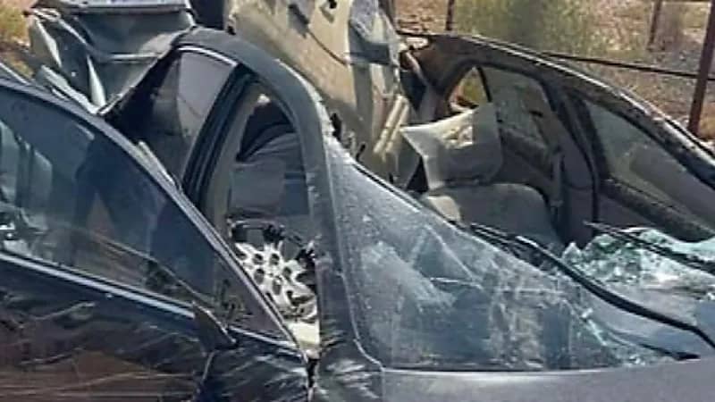 ناقة تتسبب في وقوع حادث مروري مروّع على طريق القويعية