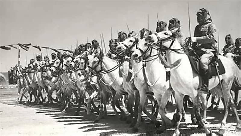 بالفيديو .. معارك خاضها " محمد بن سعود " في رحلة بناء الدولة السعودية