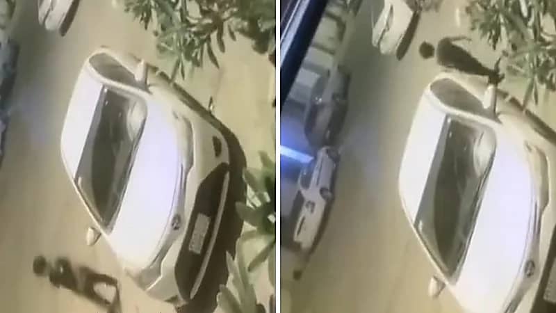 طفل يخرج من منزله فجرا ويمشي هو نائم..فيديو