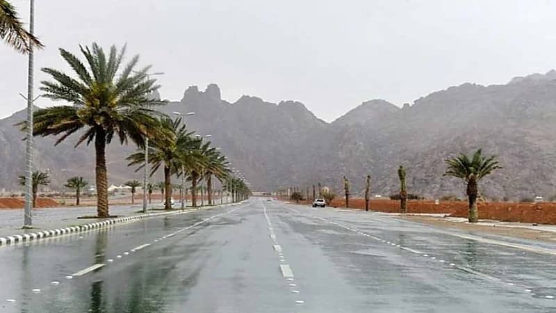 بالفيديو.. "الأرصاد": استمرار التقلبات الجوية المصاحبة لكتلة هوائية باردة