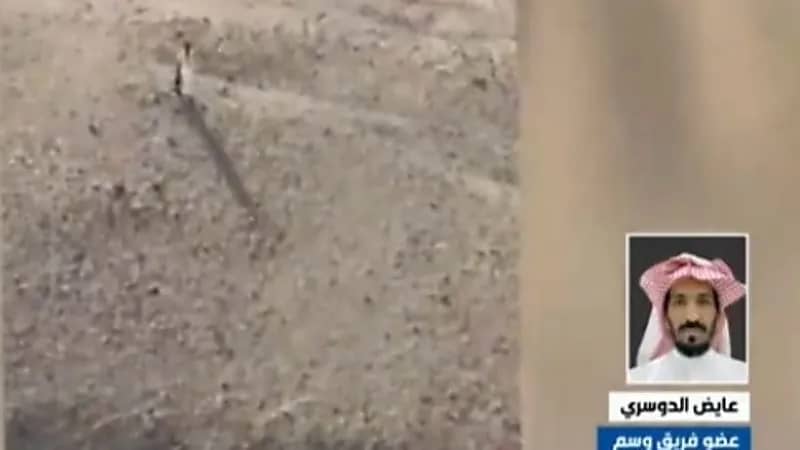 شاهد.. عضو بوسم: البحث عن مفقودي الأفلاج استغرق 13 ساعة 