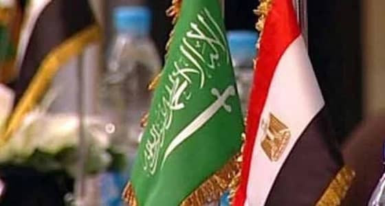 مشاريع اقتصادية عملاقة تجمع المملكة بمصر