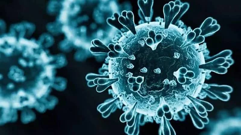 مختص يوضح أعراض وخطورة متحور كورونا الجديد