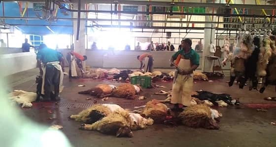 إزالة 20 مسلخ مخالف بالرياض