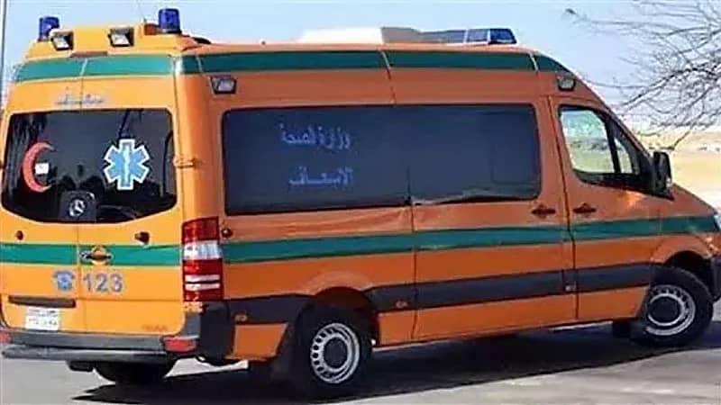 مقتل مسنة على يد جارها