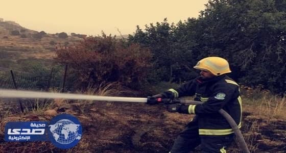 بالصور.. " مدني عسير " يحاصر حريقين مختلفين في أشجار وحشائش