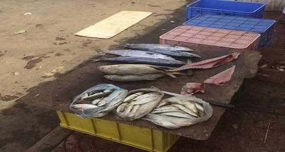 بالصور.. ضبط مخالفات صحية بالمحال التجارية في بلدية صامطة