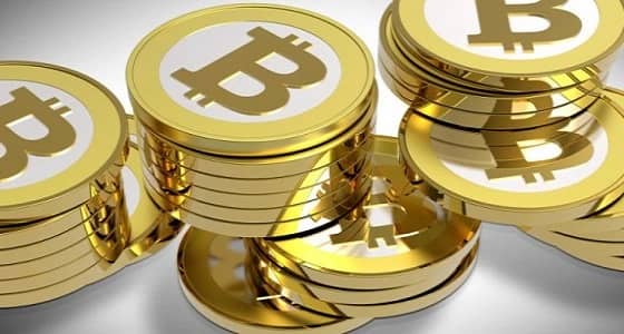 " ستريب " توقف دعمها لمدفوعات بتكوين..وتؤكد: تذبذبها قلل قيمتها