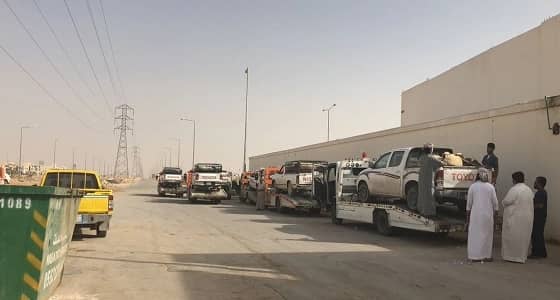 بالصور.. إزالة 41 مخيما ومصادرة 145 رأس من الماشية بالروضة