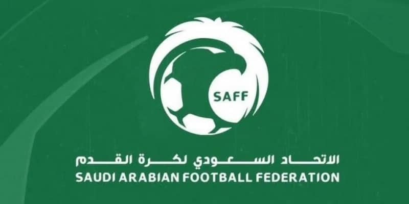 الفيفا تعتذر للاحتراف بسبب خلل تقني