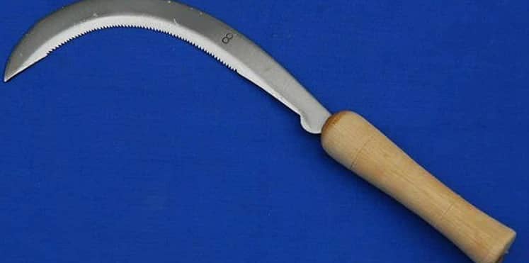 فتاة هندية تنتقم  من خطيبها ببتر عضوه التناسلي بمنجل