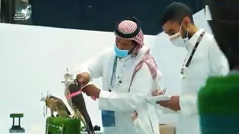 الطويل: المزاد الدولي لمزارع انتاج الصقور يُسهم في خلق سوق موثوق لمنتجي الصقور