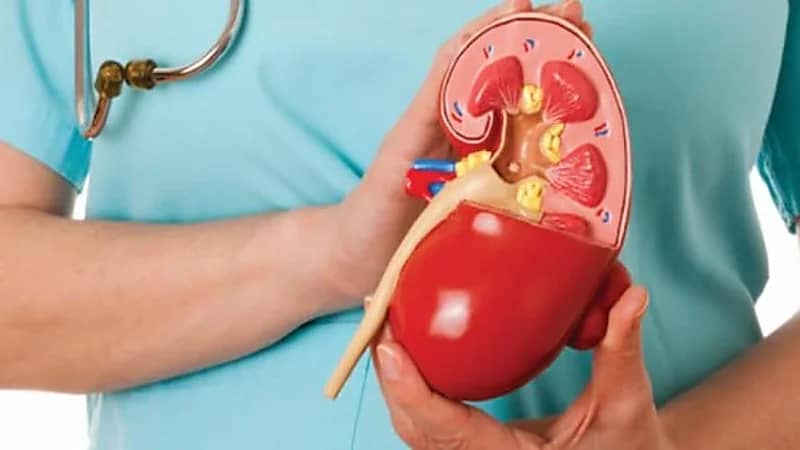 "استشاري": السكري هو السبب الرئيسي لتلف الكليتين