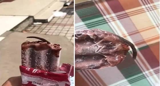 بالفيديو.. فتاة تعثر على فأر مجمد داخل قطعة آيس كريم