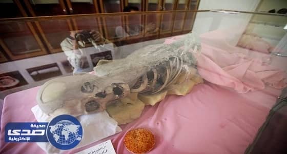 المجاعة تطارد أحياء اليمن.. وانقطاع الكهرباء يحلل «المومياوات» الأثرية (تقرير)