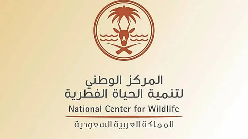 السجن وغرامة مالية 400 ألف ريال لصاحب مقطع تعذيب قرود البابون