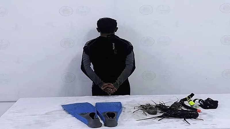 ضبط مخالف للائحة الأمن والسلامة لمزاولي الأنشطة البحرية