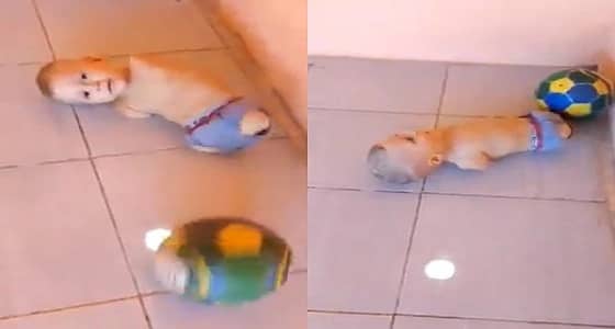 فيديو مؤثر لطفل بلا أطراف يلهو بالكرة