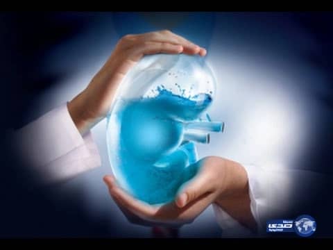 وفاة والدة الأمير فيصل بن فهد بن محمد بن عبدالعزيز آل سعود