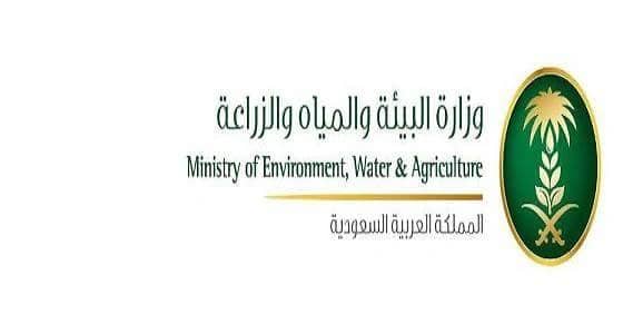 حظر صيد أسماك «الناجل» و«الطرادي» في بعض مناطق المملكة