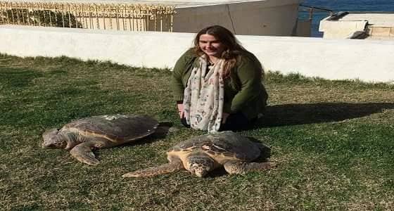 مصريون يشربون دم السلحفاة  المهددة بالانقراض ..والسبب العلاقات الجنسية