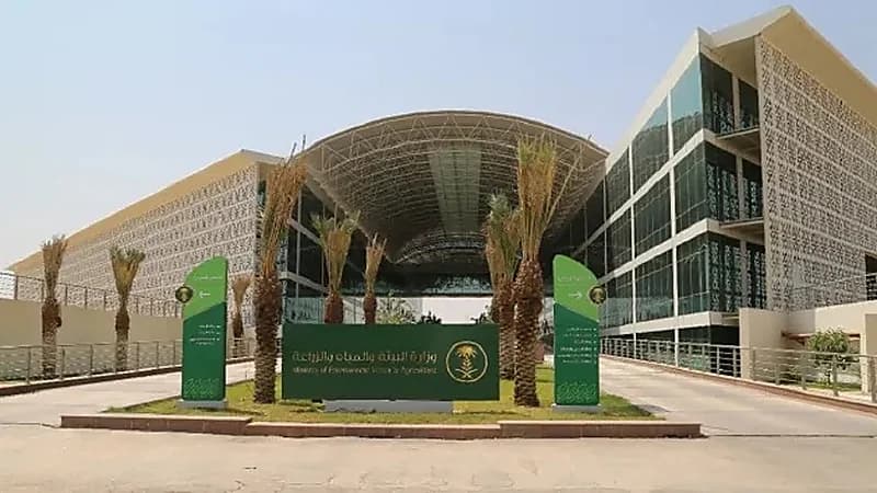 " البيئة " تفرض حظر استيراد الأبقار من إسبانيا بسبب " جنون البقر "