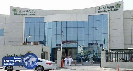 «العمل»: الوصول إلى 300 ألف متطوع في 2020