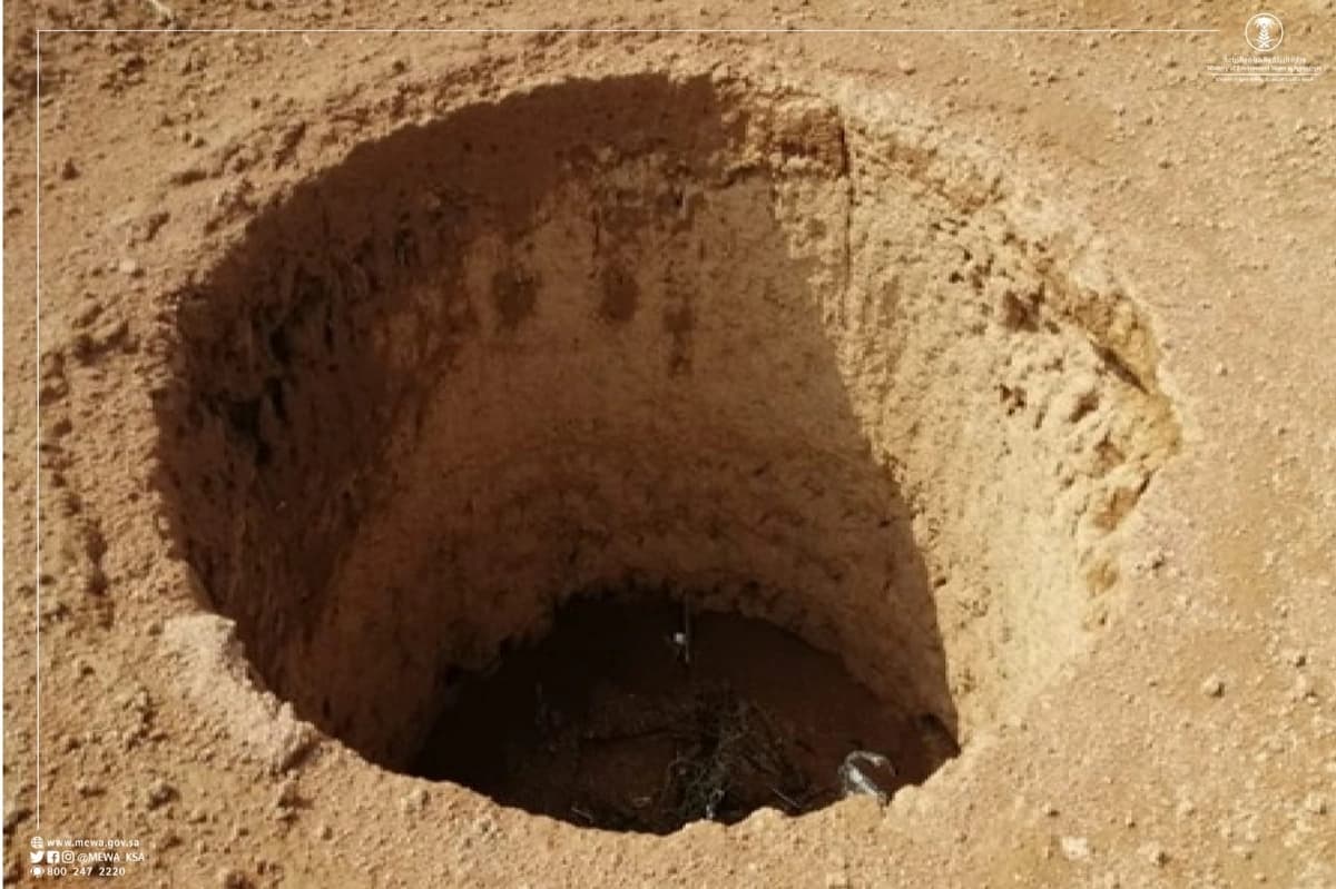 ليليا الأطرش تحدث ضجة بإعلان موعد زواجها بعد طول انتظار 