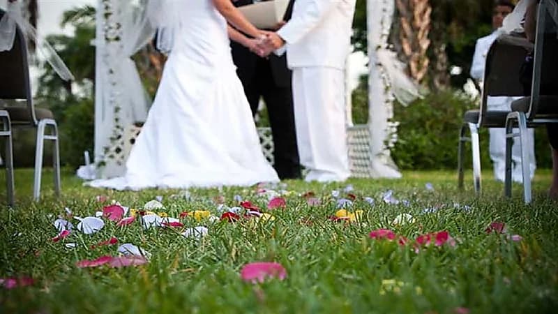 بالصور .. 4 توأم يدخلون قفص الزوجية في بيت واحد