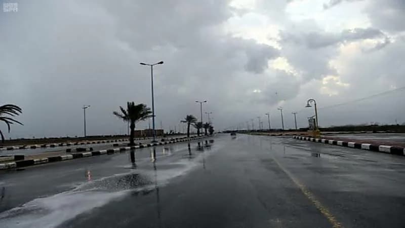 الصحة العالمية تحدد موعد انتهاء وباء كورونا