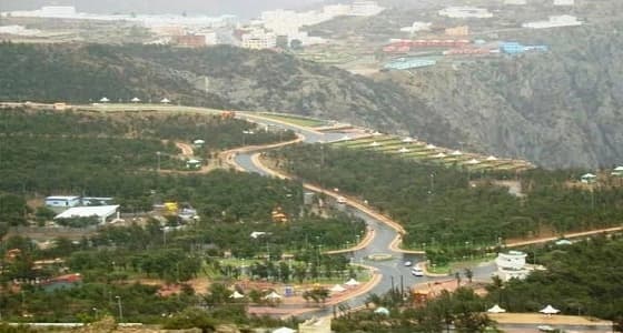 وفاة وإصابة أطفال إثر انهيار جدار منزل بالعقيق