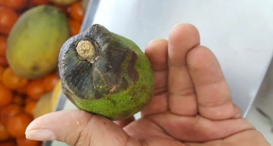 انفجار قنبلة بجوار محكمة في أثينا