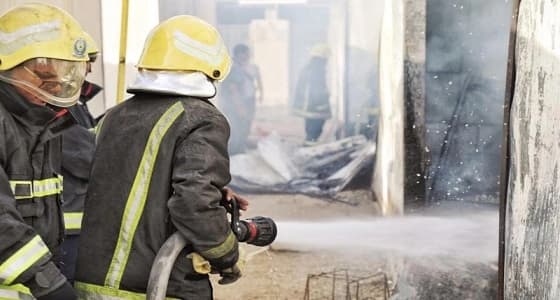 بالفيديو.. ضفدع ضخم يتربص بالنحل