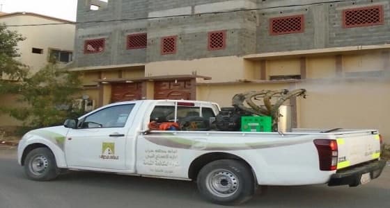 4 مشاريع في الطاقة النظيفة تدخل مصر عصر جديد