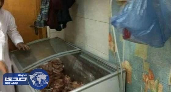 بالصور.. أمانة الطائف تضبط 400 رأس أضاحى مهربة من المشاعر المقدسة