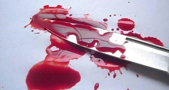 بالفيديو.. رجل يهدد كنغرين للتوقف عن الشجار