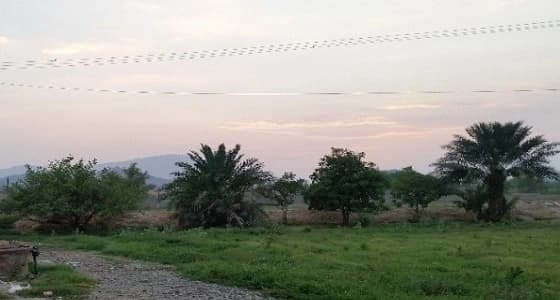 مواطن يخصص جزء من مزرعته لخدمة أسرة شهيد