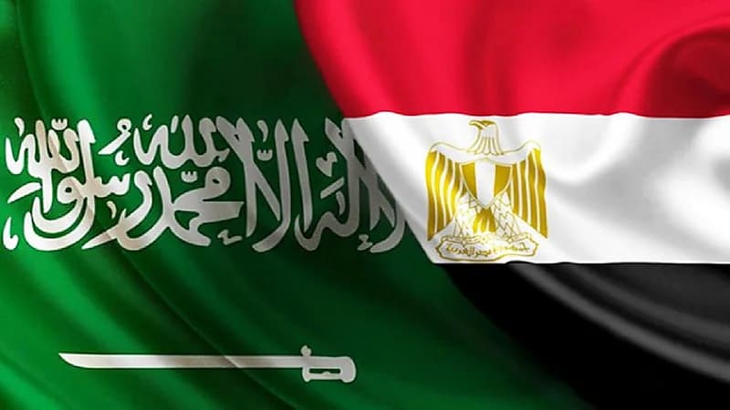 مصر تدين الهجوم الإرهابي على المنطقتين الشرقية والجنوبية بالمملكة