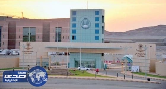 بالصور.. إحباط تهريب " بط " بالترامادول والأفيون إلى المملكة