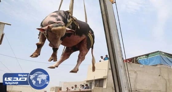 تقنية الطائف وكفى يوقعان اتفاقية للتصدي للتدخين